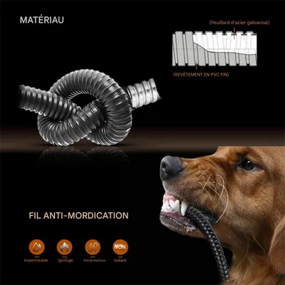 IntiMeg Gamelle chauffante d'extérieur pour chien