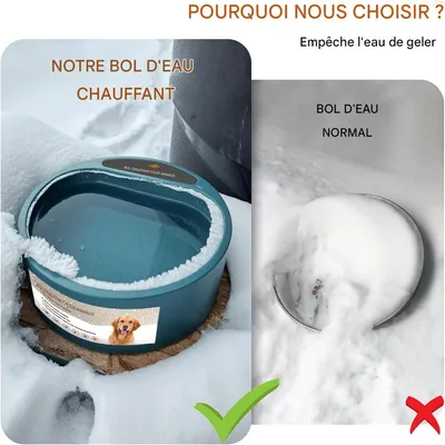 IntiMeg Gamelle chauffante d'extérieur pour chien
