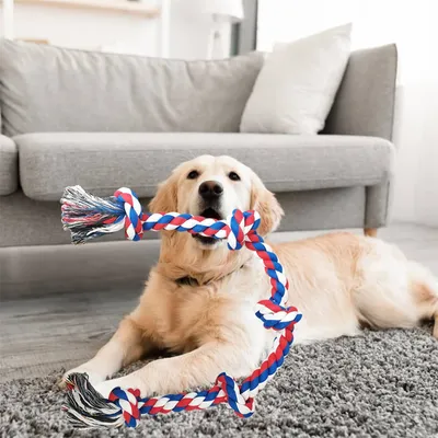 IntiMeg Seilspielzeug für Hunde 92 cm