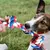 IntiMeg Seilspielzeug für Hunde 92 cm