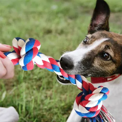 IntiMeg Seilspielzeug für Hunde 92 cm