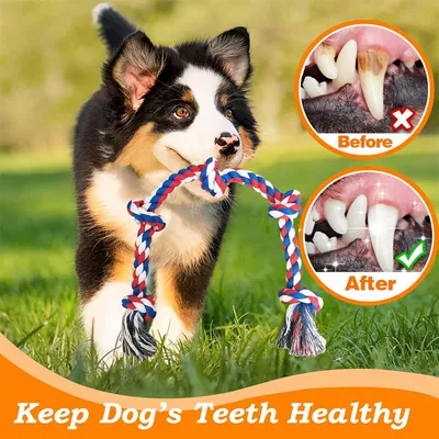 IntiMeg Seilspielzeug für Hunde 92 cm