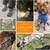 IntiMeg Chaussettes de protection pour chien