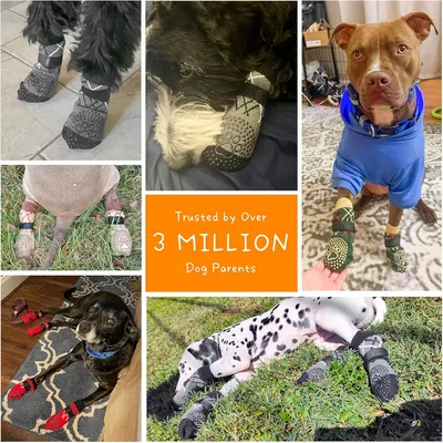 IntiMeg Chaussettes de protection pour chien