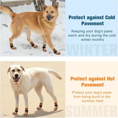 IntiMeg Chaussettes de protection pour chien