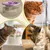 Distributeur d'eau automatique pour chats et chiens