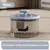 Distributeur d'eau Automatique pour Chats et Chiens Intérieurs
