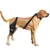 IntiMeg Ceinture de maintiendes pattes arrière du chien IntiMeg Ceinture de maintiendes pattes arrière du chien