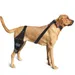 IntiMeg Cinturón de sujeción para las patas traseras del perro