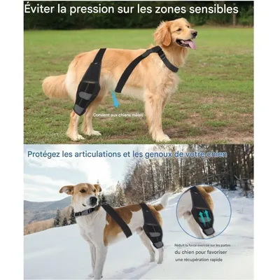 IntiMeg Ceinture de maintiendes pattes arrière du chien IntiMeg Ceinture de maintiendes pattes arrière du chien