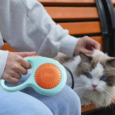 IntiMeg Laisse automatique pour chien