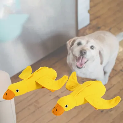 Jouet en peluche vocal pour chien