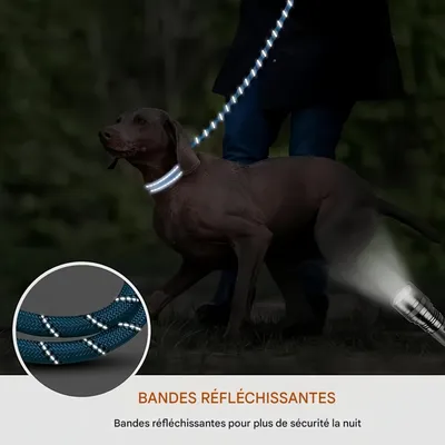 FurryFusion Laisse réfléchissante pour chien de 3 m