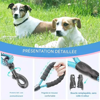 FurryFusion Laisse réfléchissante pour chien de 3 m