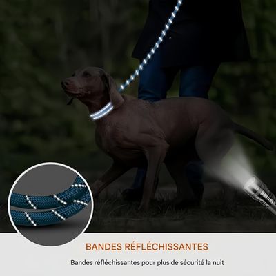 FurryFusion Laisse réfléchissante pour chien de 3 m