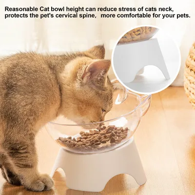 Bol pour animaux de compagnie, couleur transparente