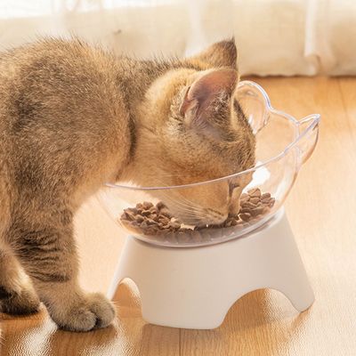 Bol pour animaux de compagnie, couleur transparente