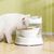 Distributeur d'eau automatique électrique nourrir tout  pour chat