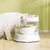 Distributeur d'eau automatique électrique nourrir tout  pour chat