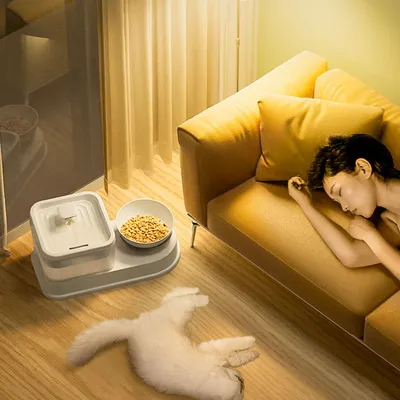 Distributeur d'eau automatique électrique nourrir tout  pour chat