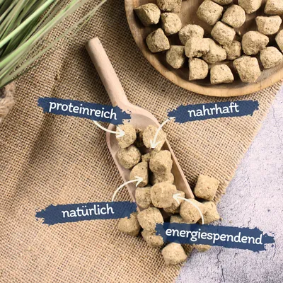 Lyra Pet®  Cubes d'artémias lyophilisés