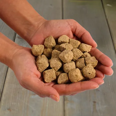 Lyra Pet®  Cubes d'artémias lyophilisés