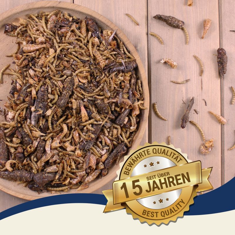 Lyra Pet® Protein Boost Insectes Mix