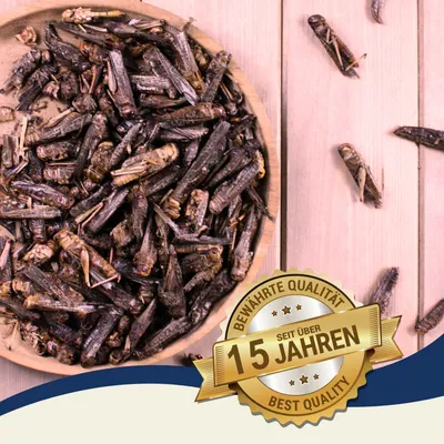 Lyra Pet® Sauterelles séchées