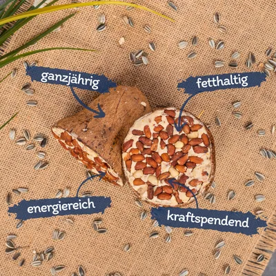 Lyra Pet® graines pour oiseaux petit paquet de démarrage