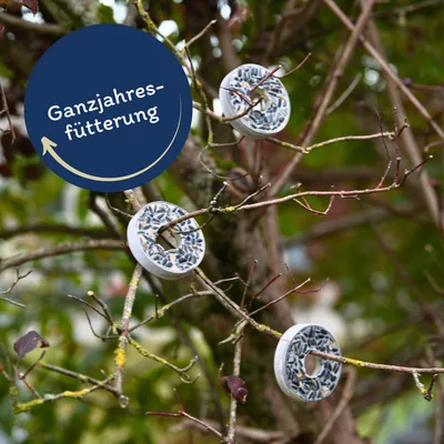 Lyra Pet® graines pour oiseaux petit paquet de démarrage