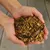 Lyra Pet® Protein Boost Insectes Mix Lyra Pet® Protein Boost Insectes Mix