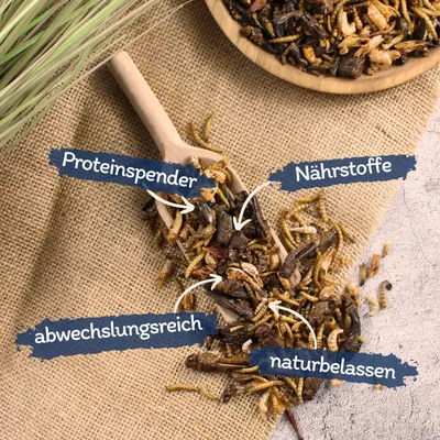 Lyra Pet® Protein Boost Insekten Mix - Mehlwürmer, Shrimps & Grashüpfer