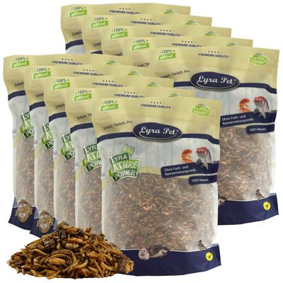 Lyra Pet® Protein Boost Insectes Mix