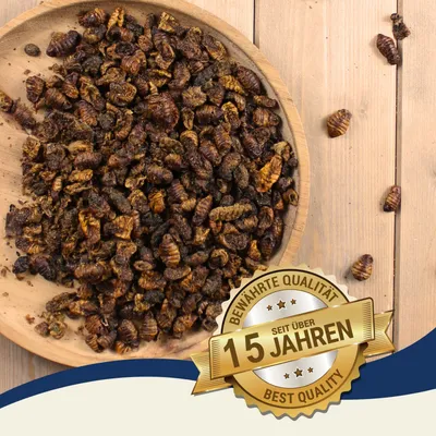 Lyra Pet® Vers à soie séchées