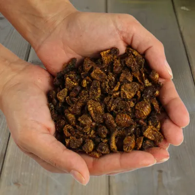 Lyra Pet® Vers à soie séchées