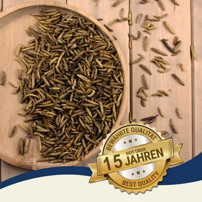 Lyra Pet® Mélange de vers de farine et de larves de mouche soldat