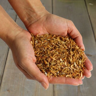 Lyra Pet® Shrimps getrocknet