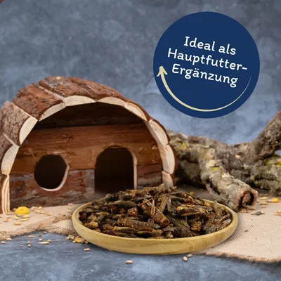 Lyra Pet® Sauterelles séchées