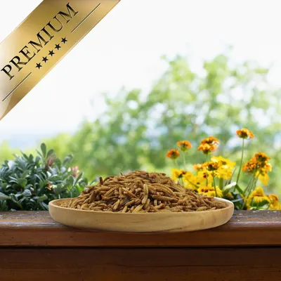 Lyra Pet® Mélange de vers de farine et de larves de mouche soldat