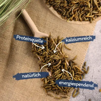 Lyra Pet® Mélange de vers de farine et de larves de mouches soldats