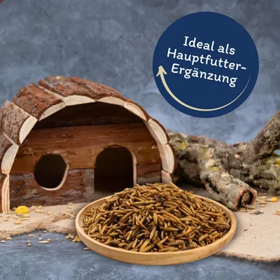 Lyra Pet® Mehlwürmer-/Soldatenfliegenlarven-Mix Lyra Pet® Mehlwürmer-/Soldatenfliegenlarven-Mix