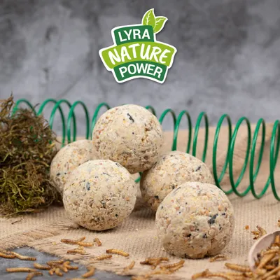 Lyra Pet® Boulettes de mésanges Protein Boost sans filet Ã 90 g