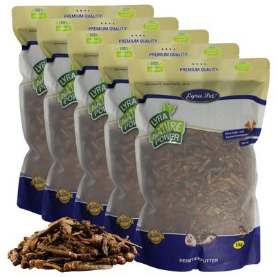 Lyra Pet® Heuschrecken getrocknet