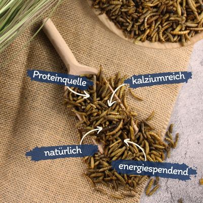 Lyra Pet® Mehlwürmer-/Soldatenfliegenlarven-Mix