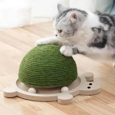 ZENITHMIND 40*33*20cm Generic Griffoir pour chat en forme de tortue