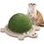 ZENITHMIND 40*33*20cm Generic Griffoir pour chat en forme de tortue