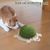 ZENITHMIND 29*24*14cm Generic Griffoir pour chat en forme de tortue