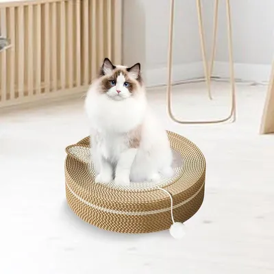 ZENITHMIND Arbre à Gratter pour Chat 45CM