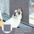 ZENITHMIND Tapis griffoir chat,tapis chat,griffoir chat,60 * 60cm