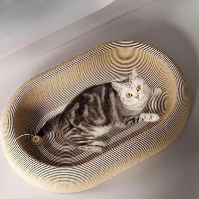 ZENITHMIND Griffoir pour Chat avec Jouet Interactif